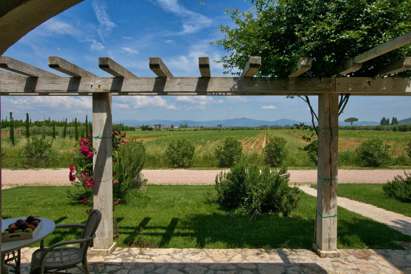 Bozzone Arancio-View summer