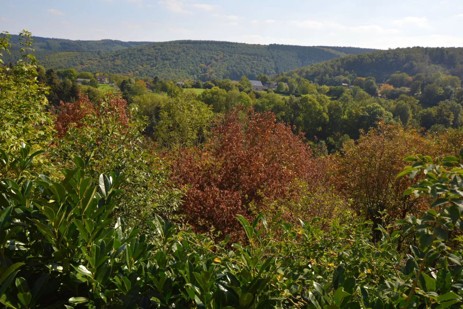 Auberge de Halinsart-Areas summer 1km