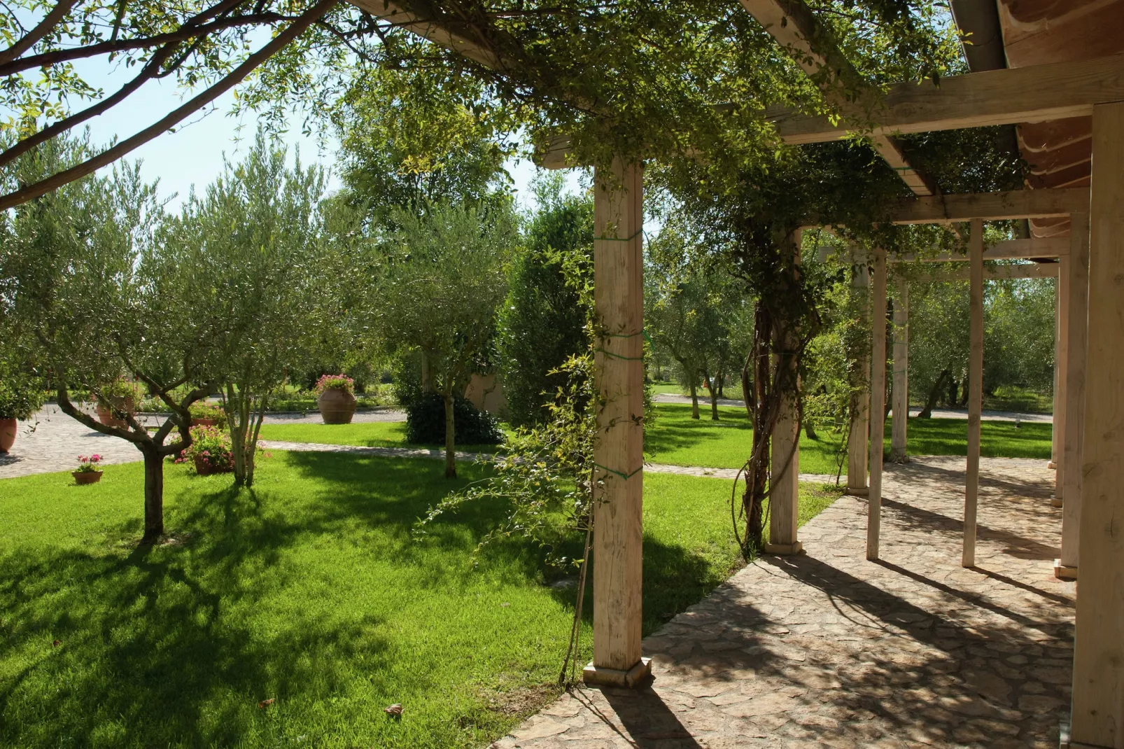 Bozzone Arancio-Gardens summer
