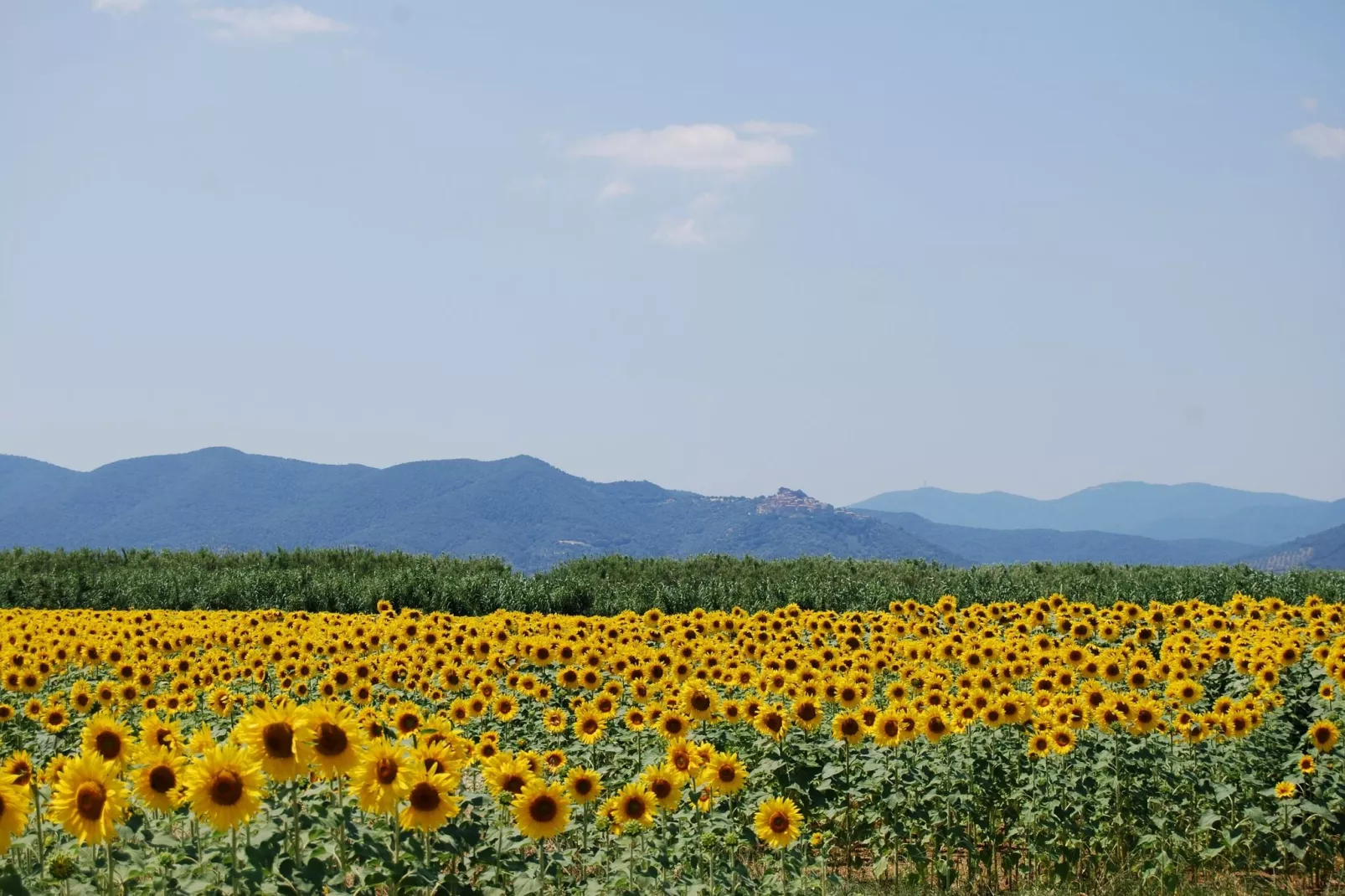 Bozzone Arancio-Areas summer 1km