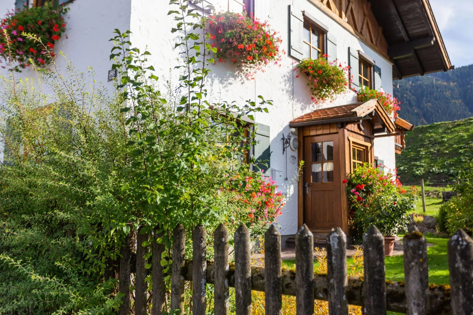 Trauchgau-Gardens summer