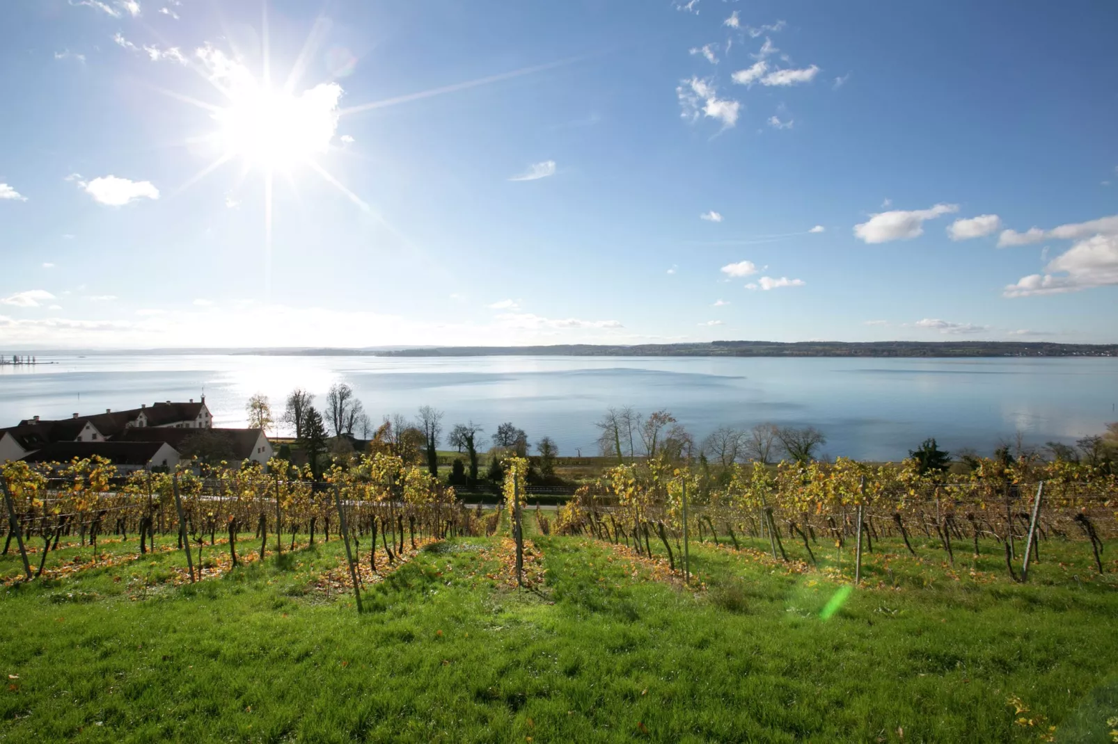 Am Bodensee-Zones d'été à 5 km