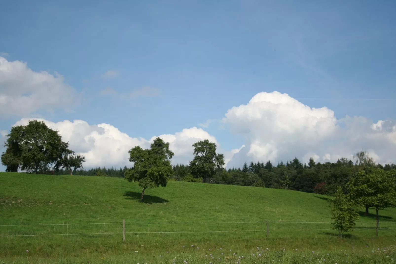 Am Bodensee-Zones d'été à 20 km