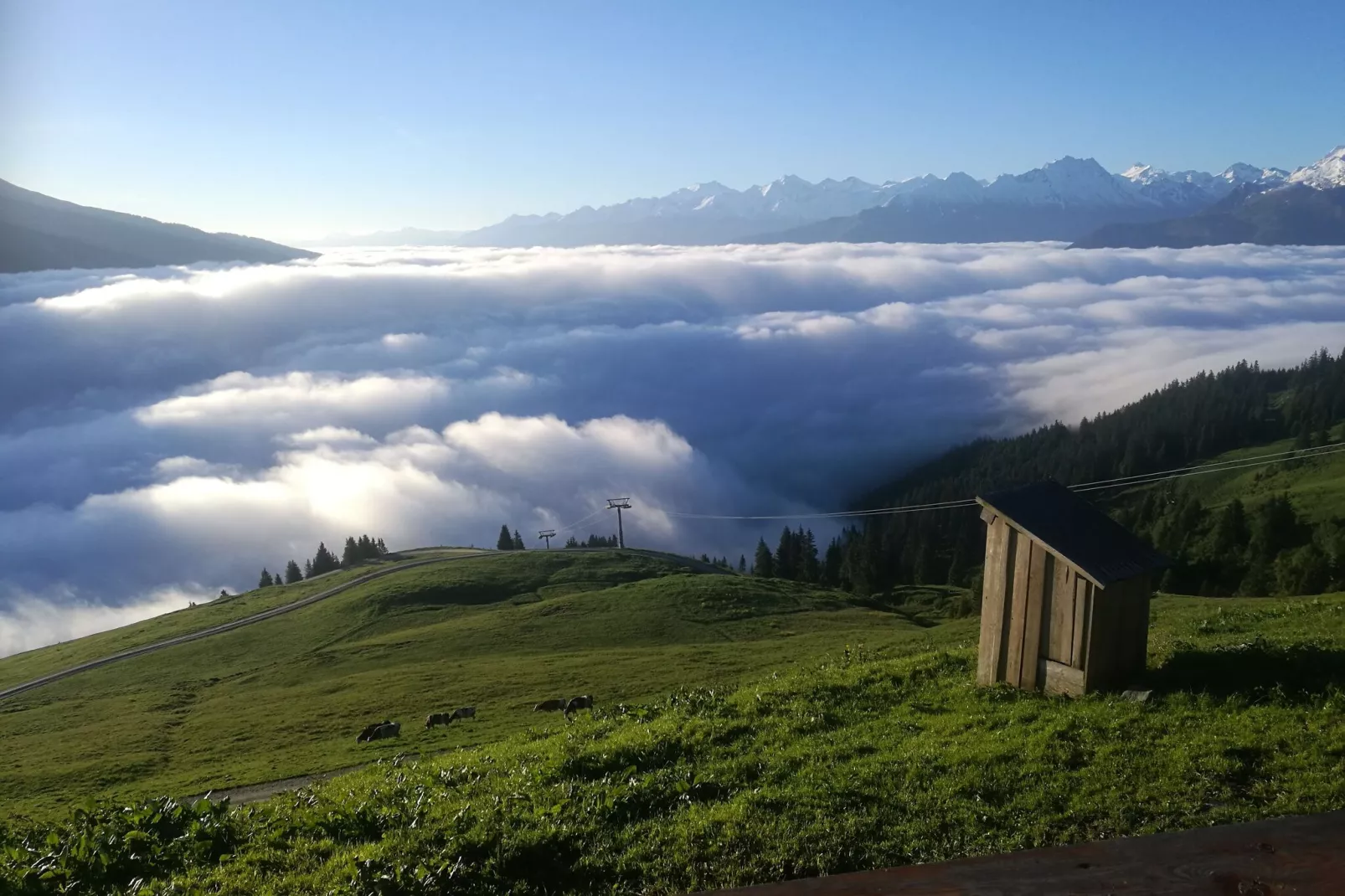 Almhütte Gipfelblick-Exterior summer