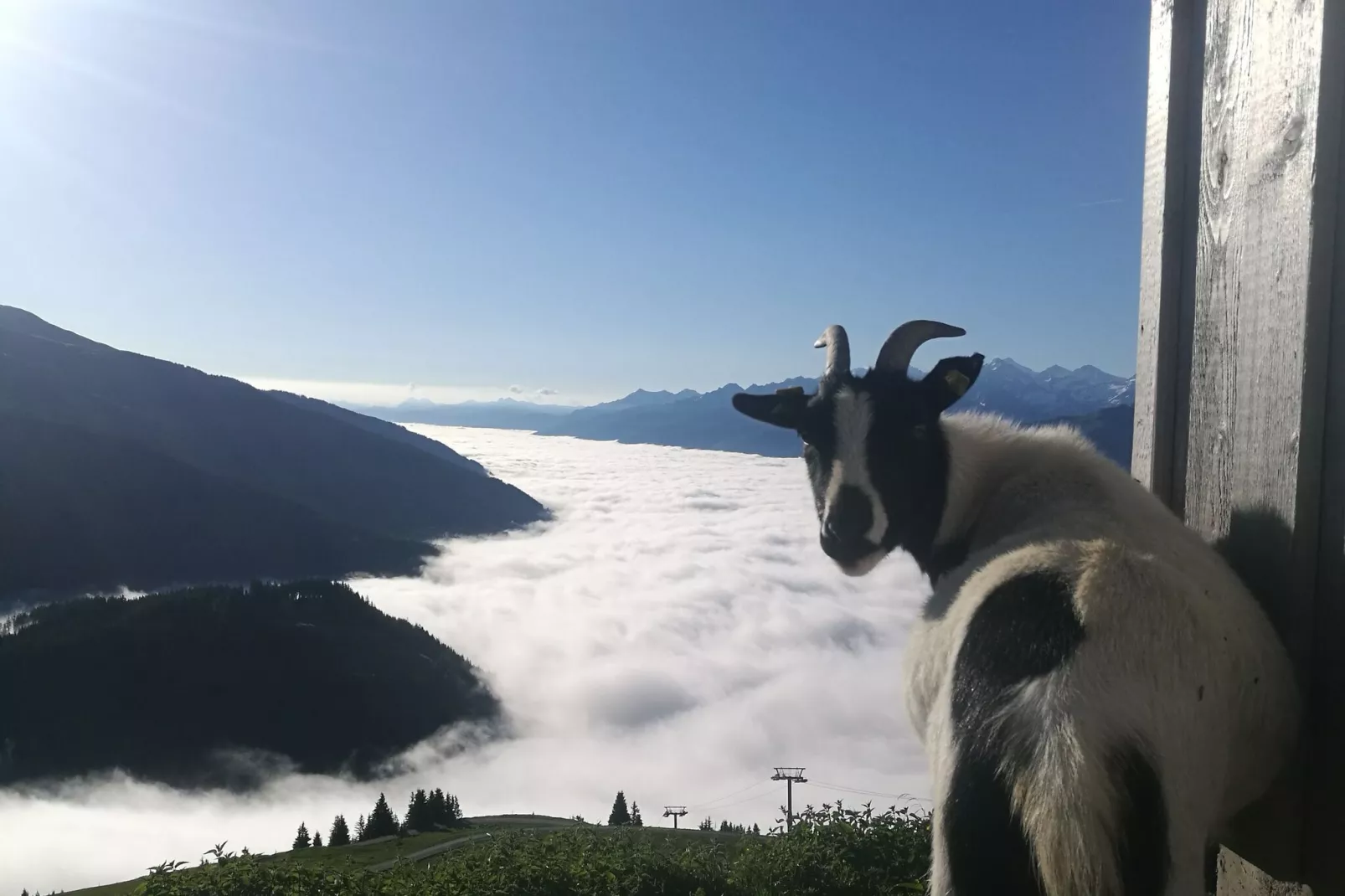 Almhütte Gipfelblick-View summer