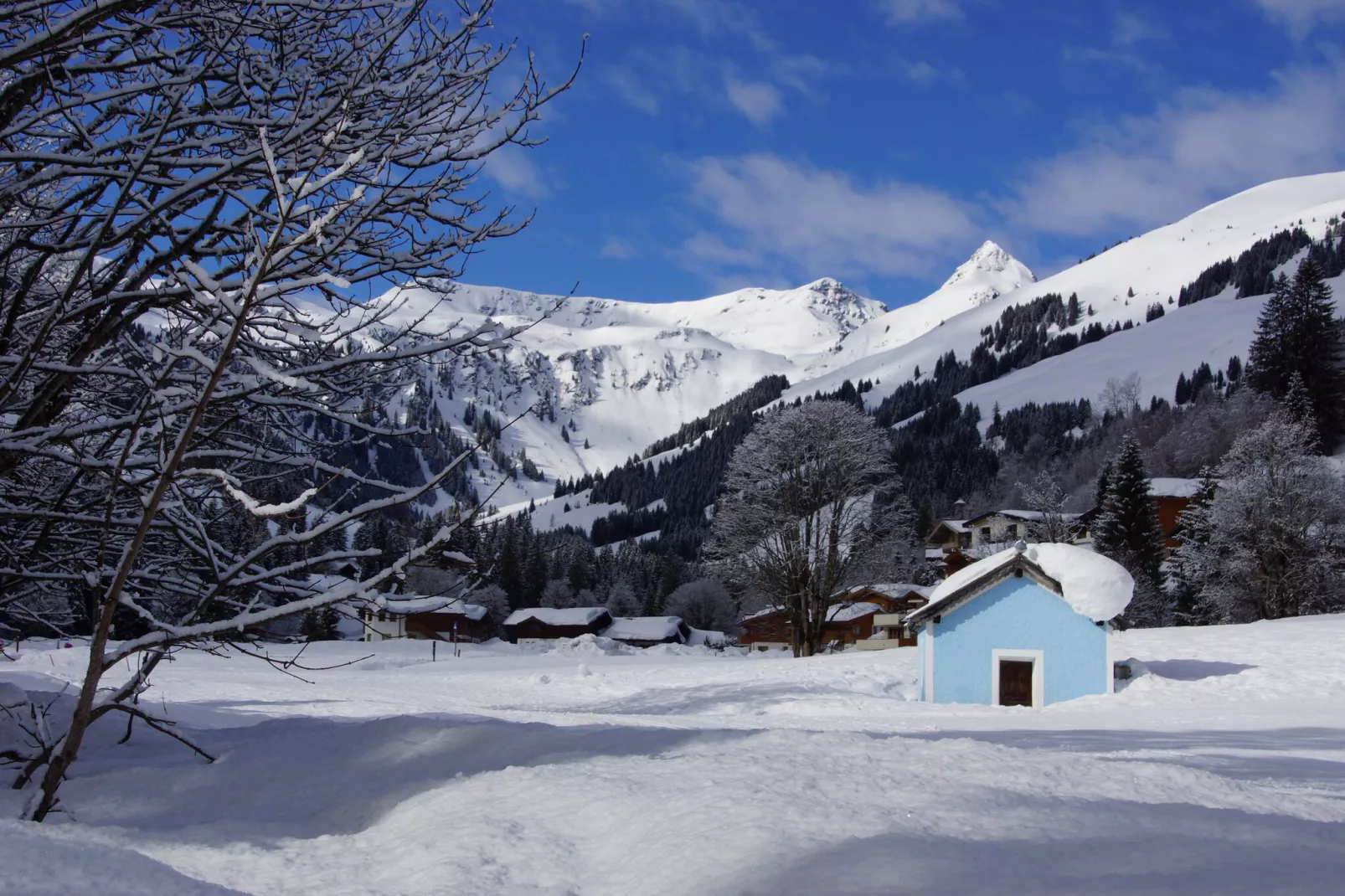 Chalet Glemmerl Mountain Lodge-Gebiet Winter 5 km