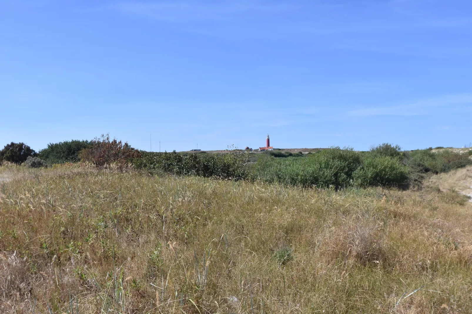 De  Koog  nr 3 - 6 pers woning de luxe-Areas summer 5km