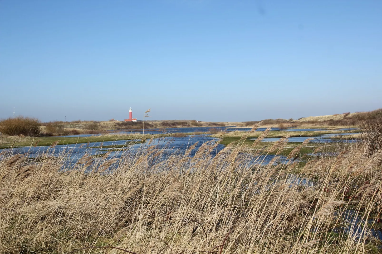 De Koog  nr 4 - 6 pers woning de luxe-Areas summer 5km
