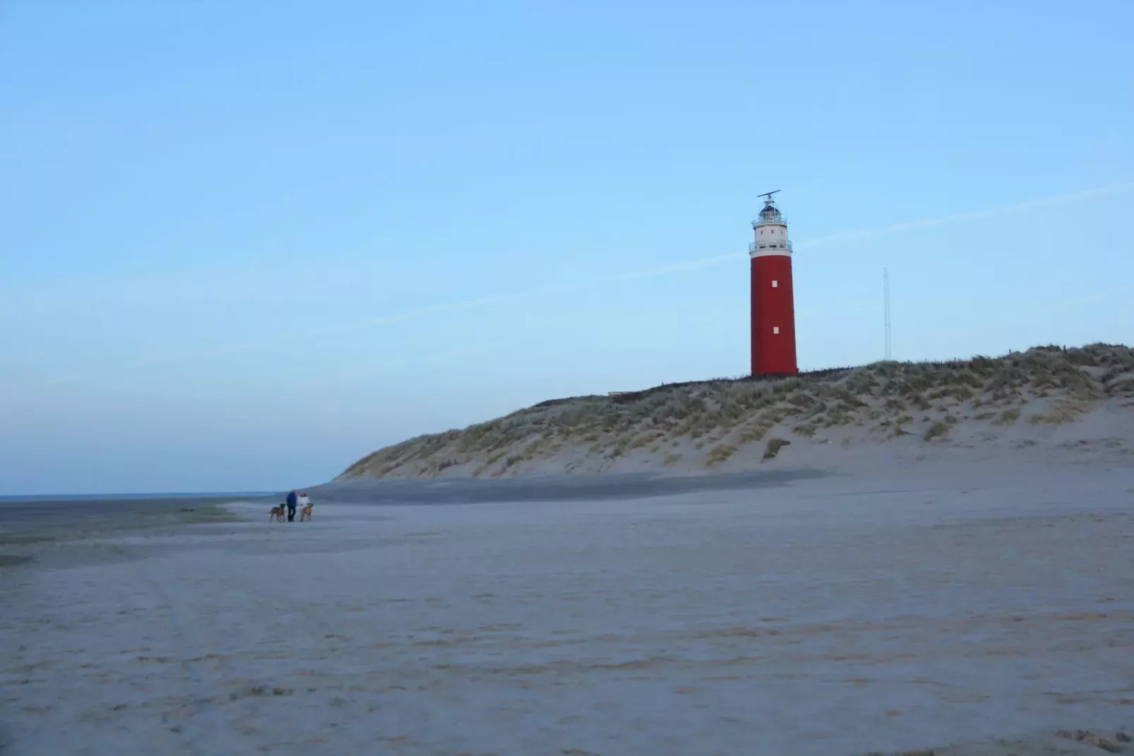 De Koog  nr 4 - 6 pers woning de luxe-Areas summer 5km