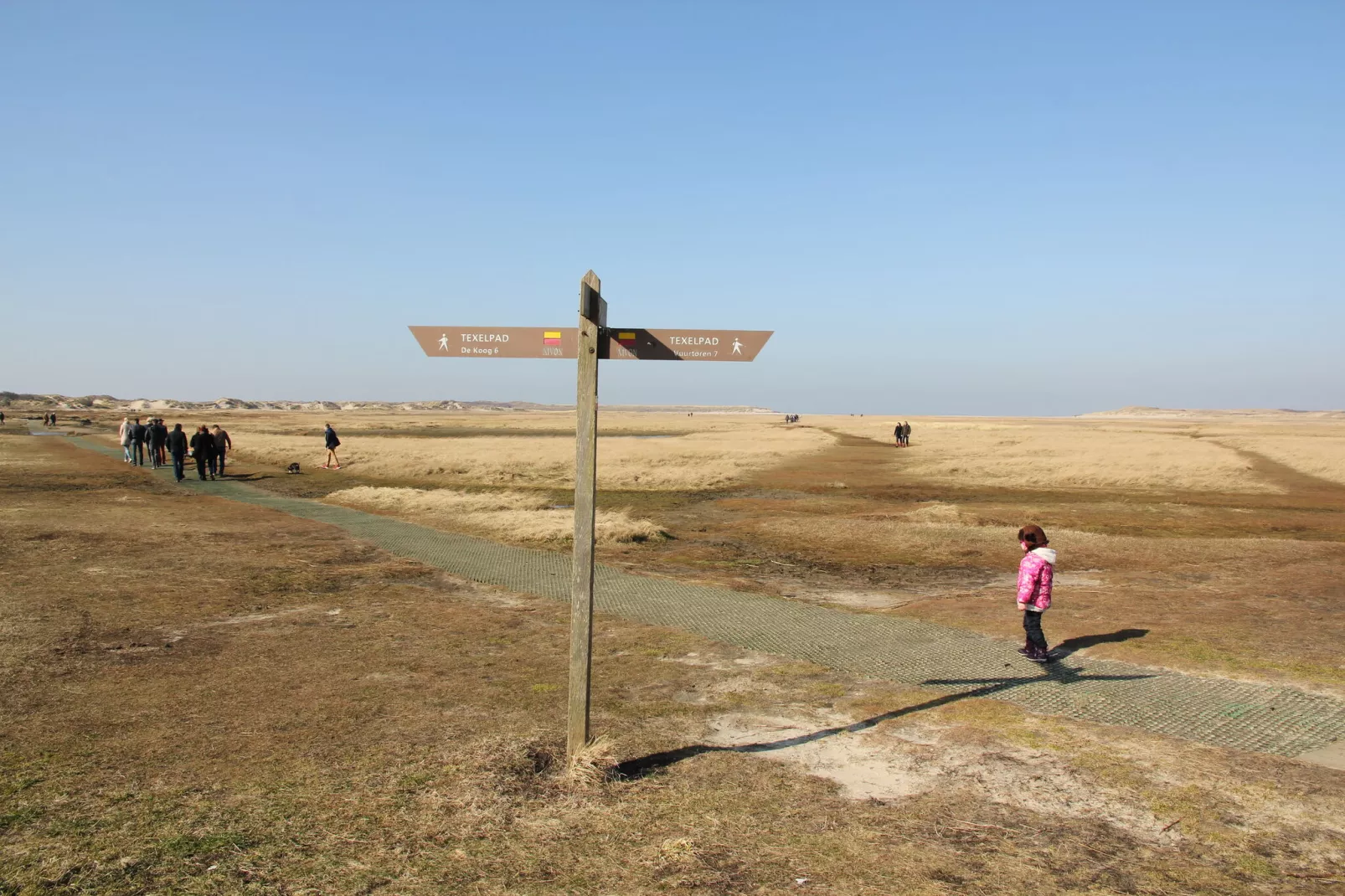 De Koog  nr 5 - 6 pers woning de luxe-Areas summer 5km