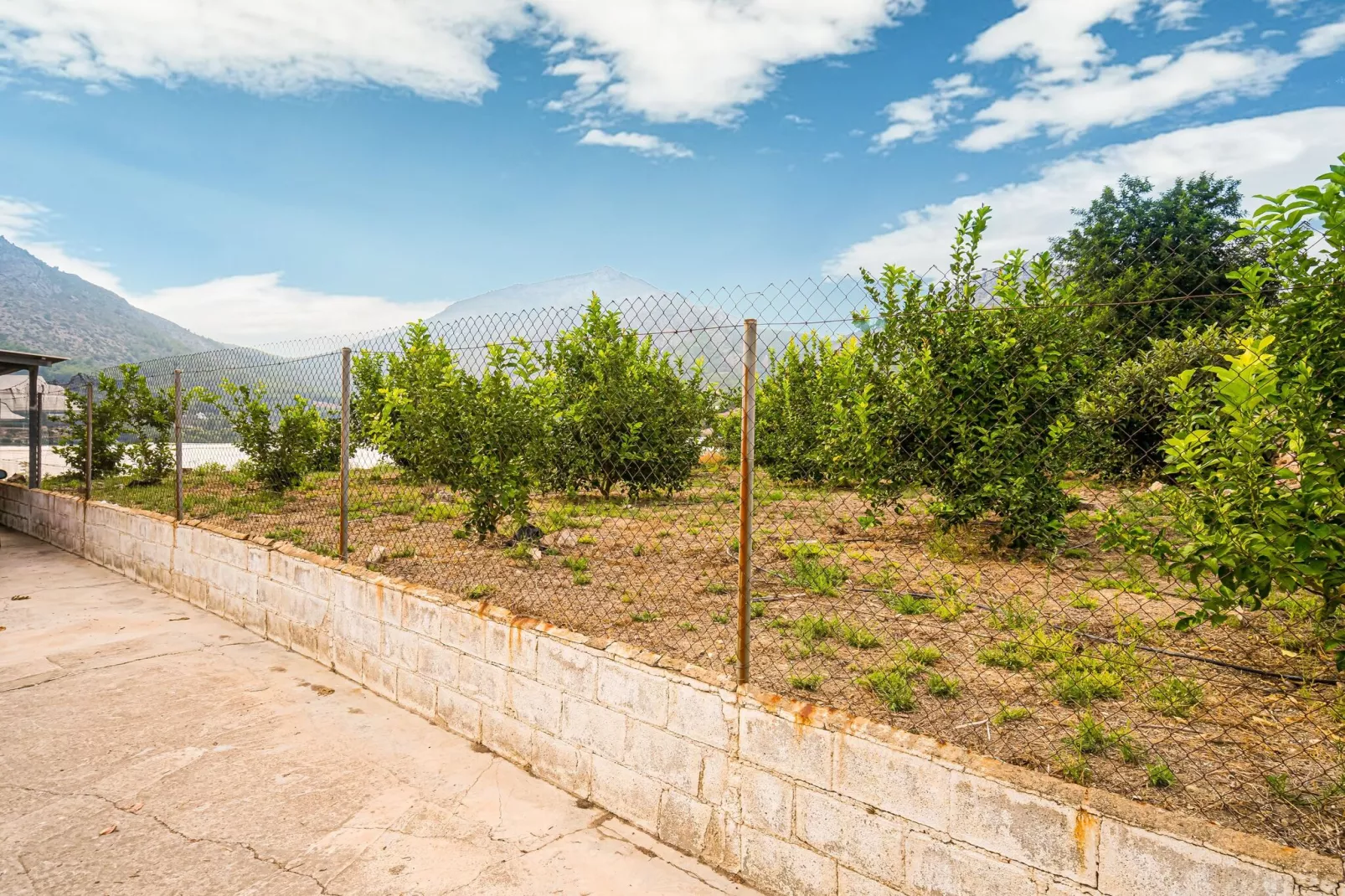 Villa Adelia-Areas summer 1km