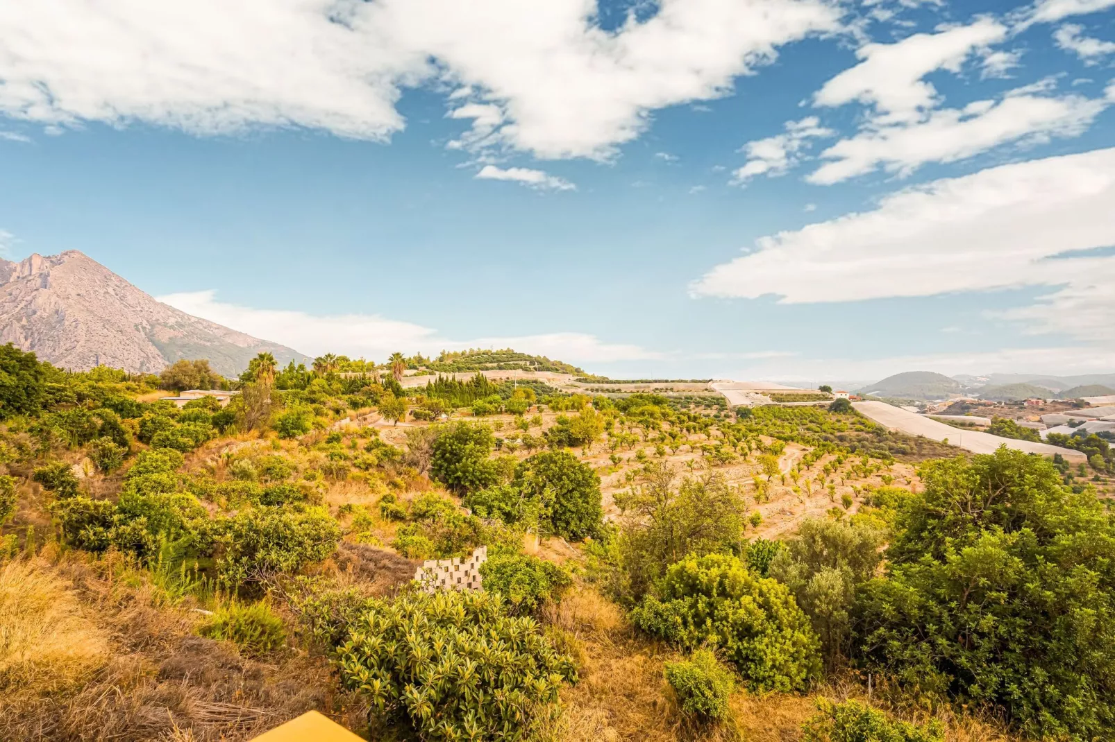Villa Adelia-View summer