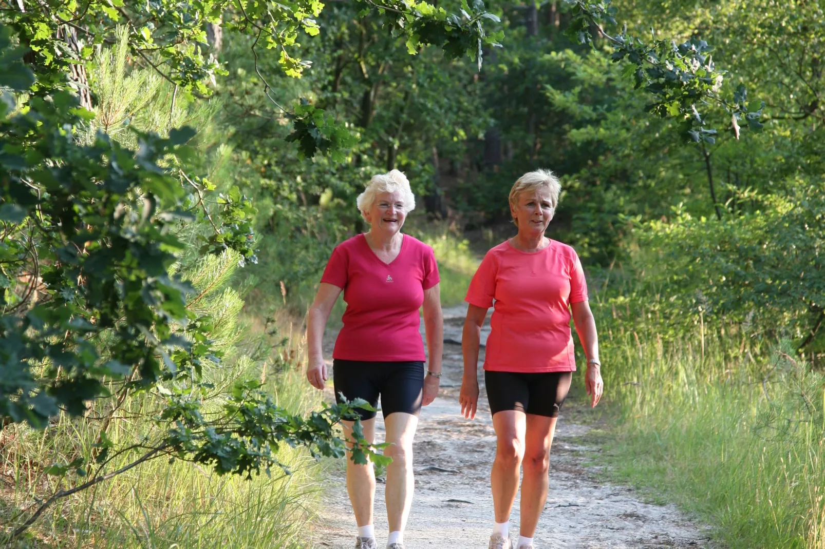 Park Scorleduyn 3-Areas summer 5km