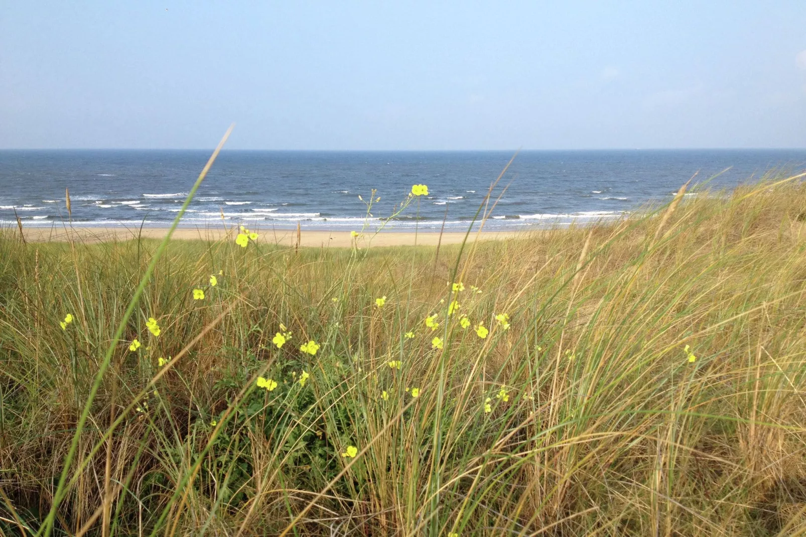 De Beukelaar 2pers-Areas summer 20km