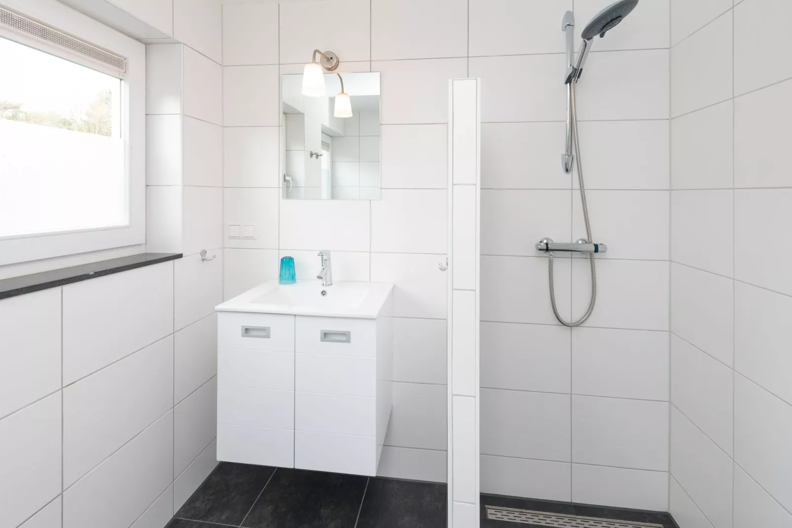 De Beukelaar 4 pers-Bathroom