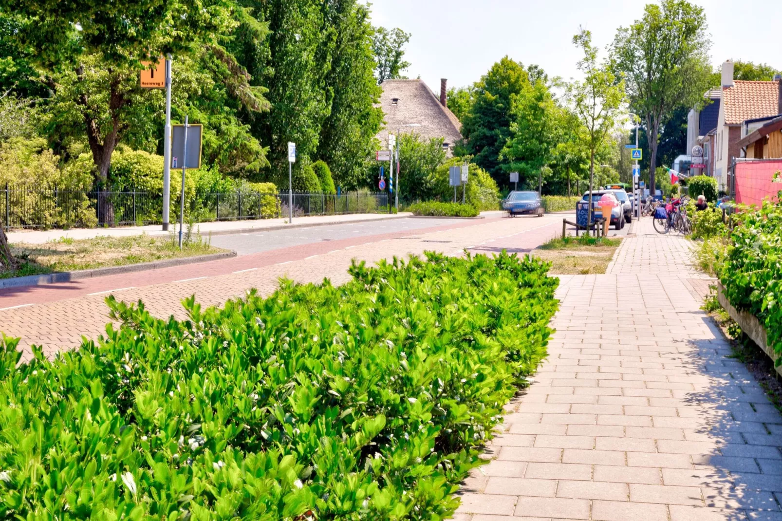 Bosberg-Areas summer 1km