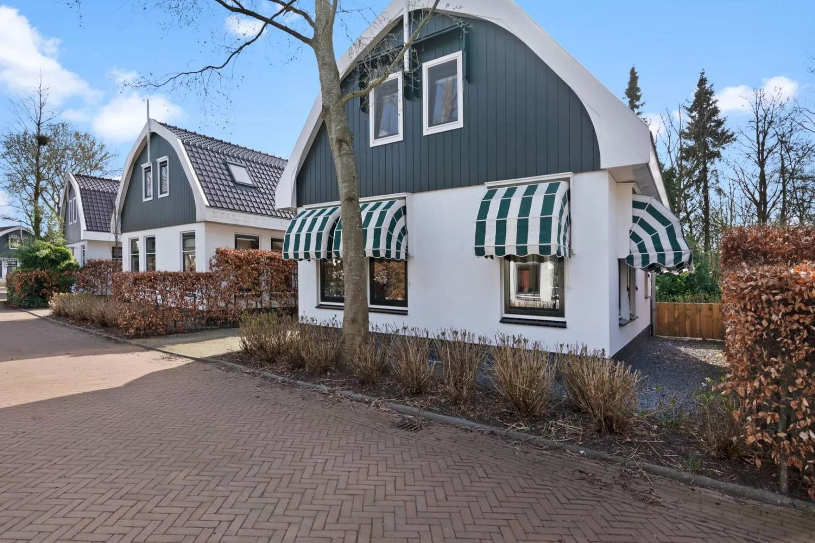Resort Koningshof 2-Exterior summer