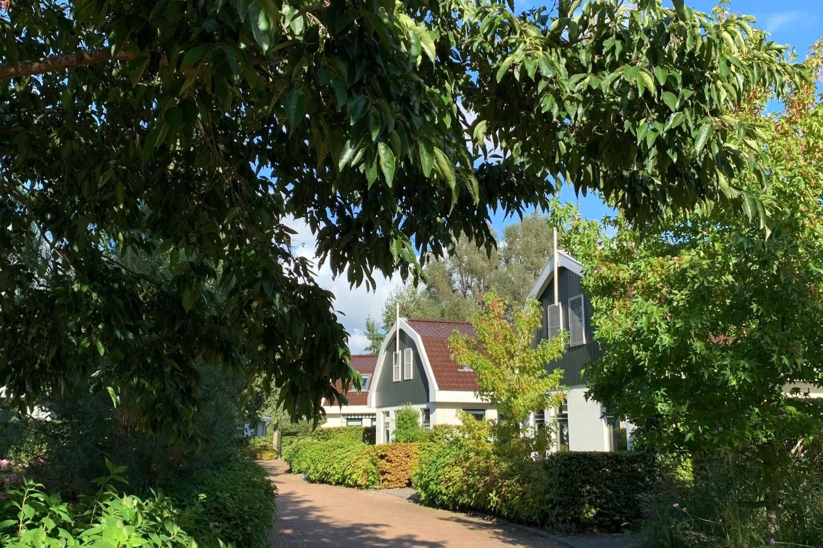 Resort Koningshof 2-Areas summer 1km