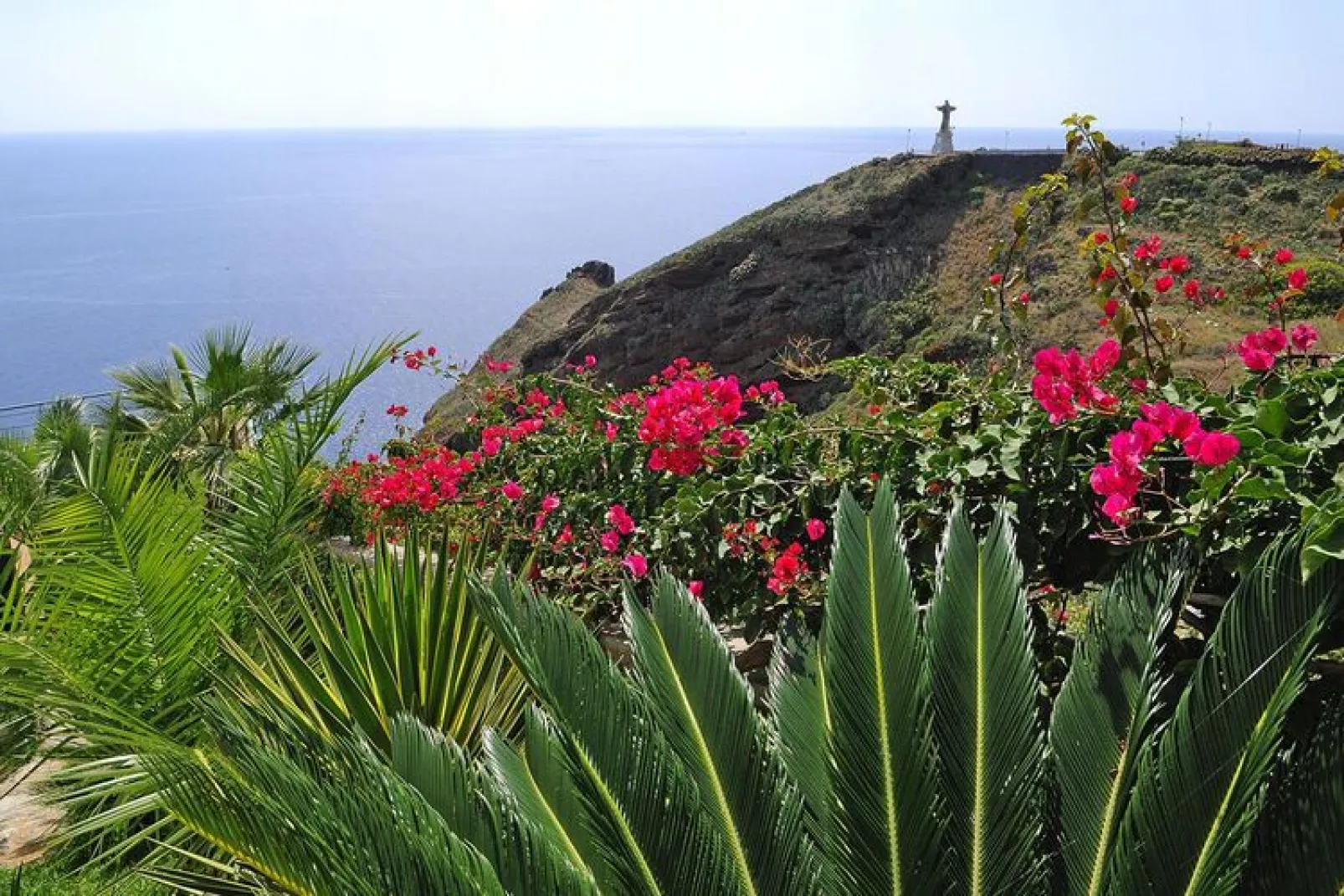 Villa in Caniço-Gardens summer