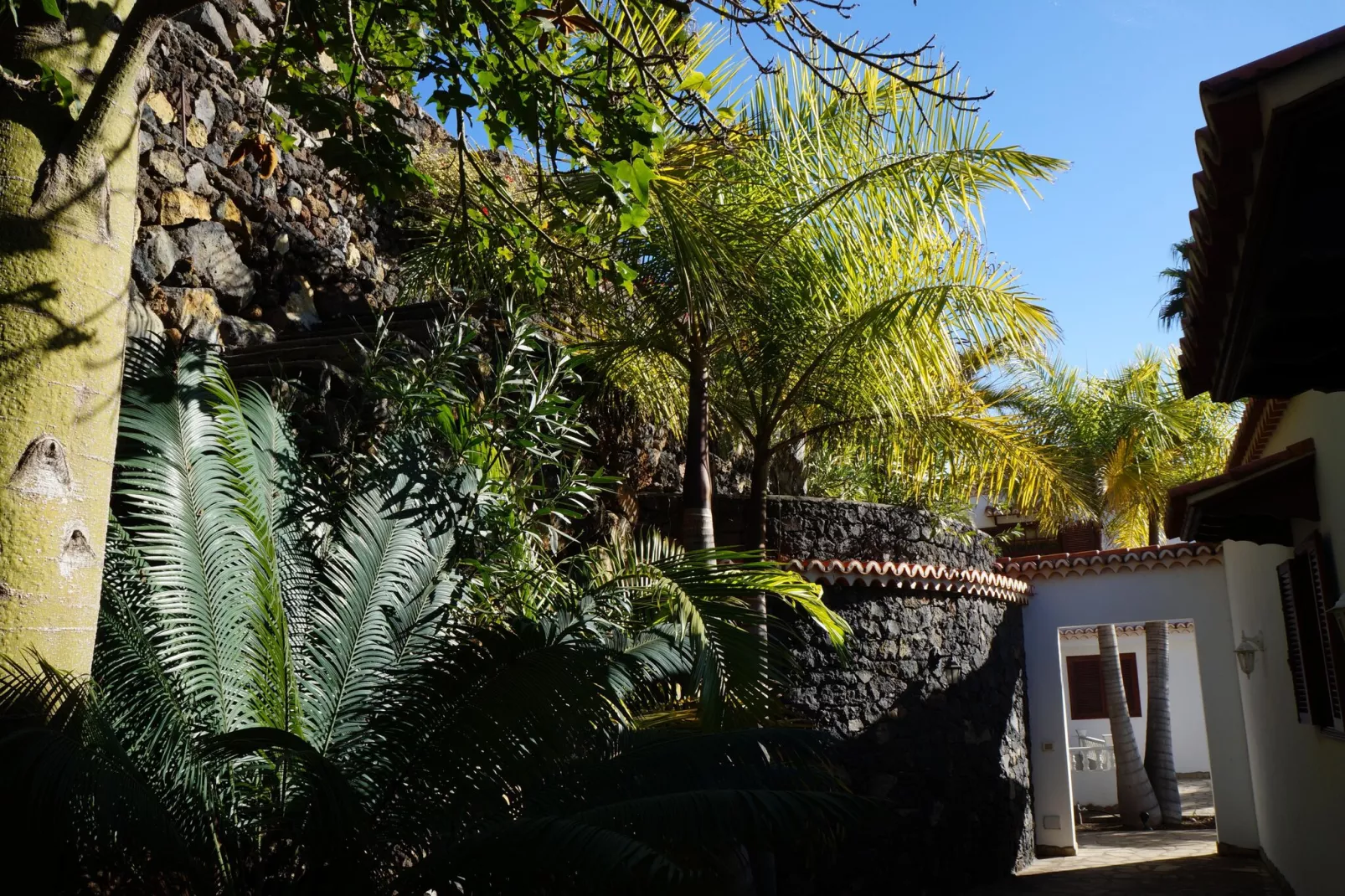 Chalet Casa de las Palmeras Typ 5-Außenbereich Sommer
