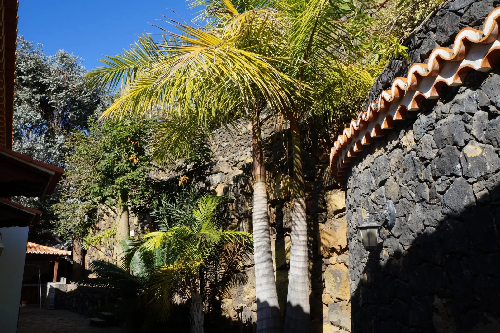 Chalet Casa de las Palmeras Typ 5-Außenbereich Sommer