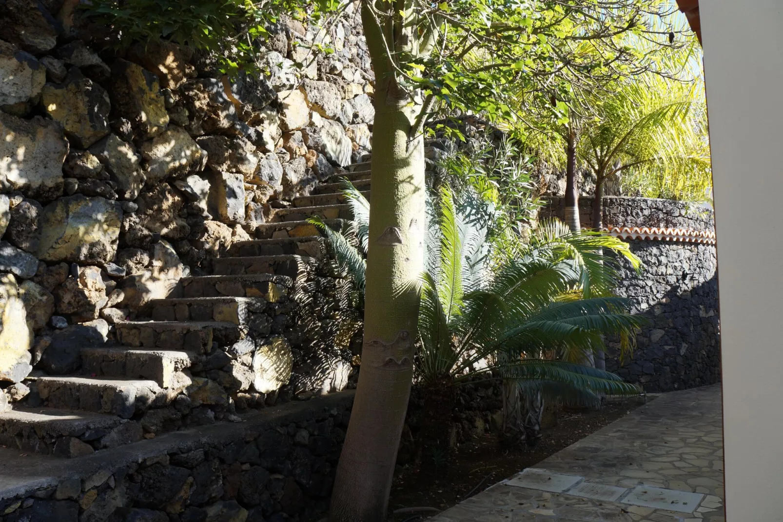 Chalet Casa de las Palmeras Typ 5-Außenbereich Sommer