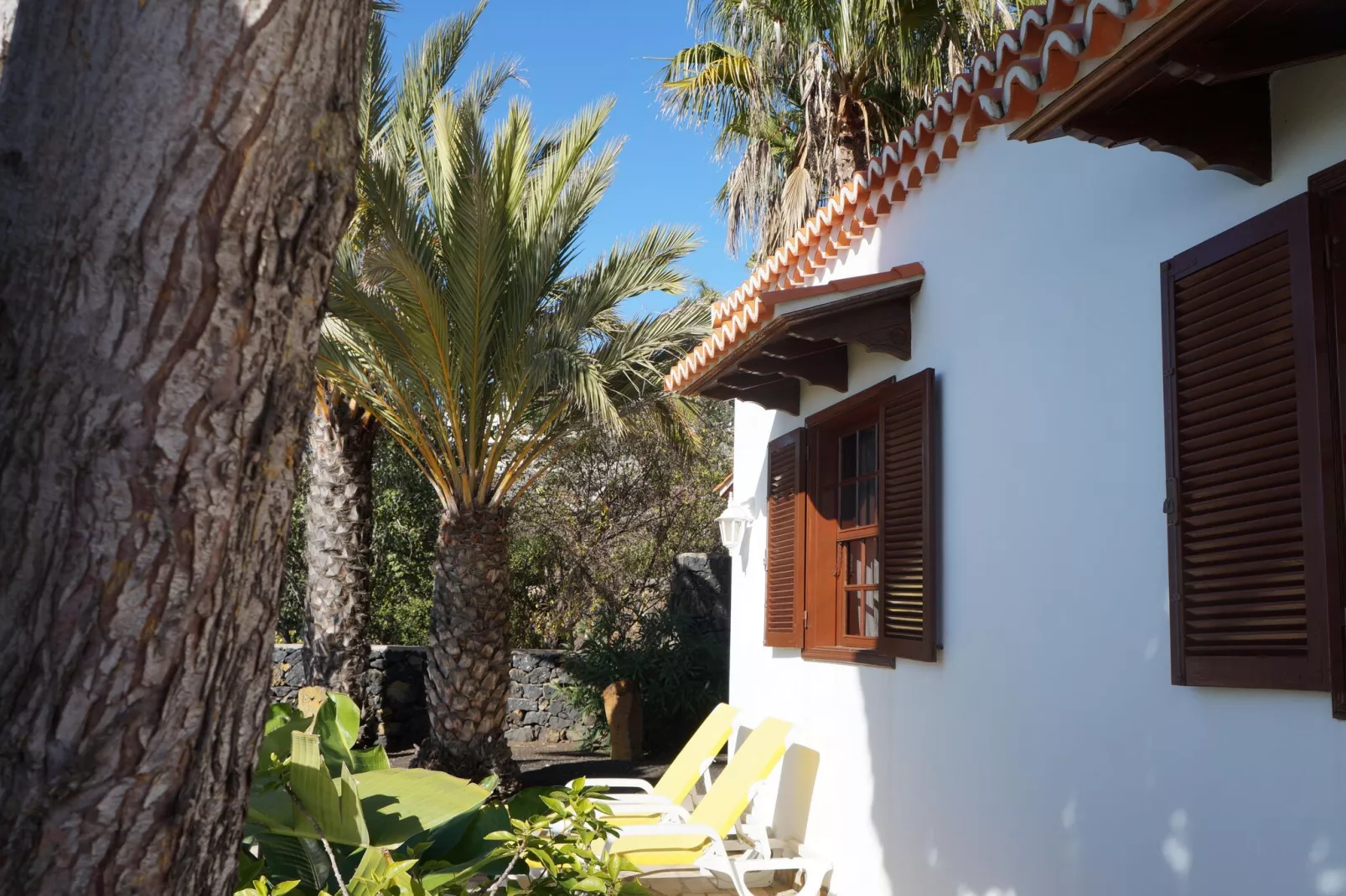 Chalet Casa de las Palmeras Typ 5-Außenbereich Sommer