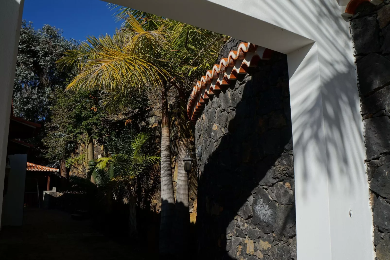 Chalet Casa de las Palmeras Typ 5-Außenbereich Sommer