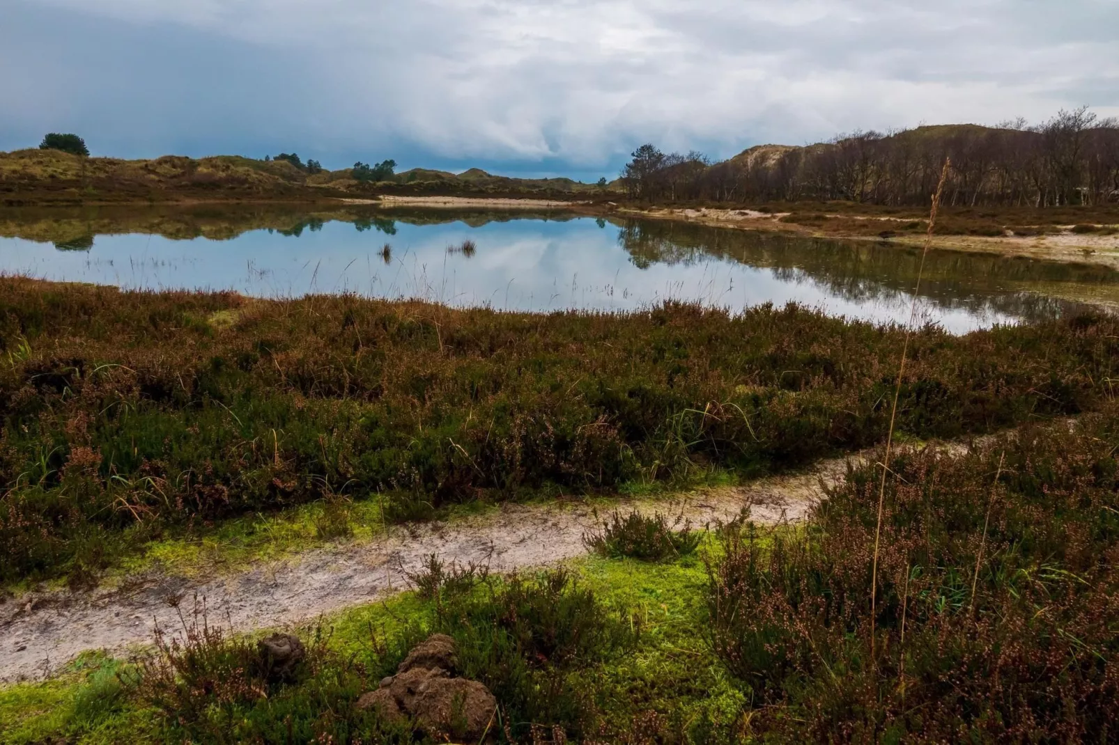 Resort Koningshof 3-Gebiete Sommer 5 km