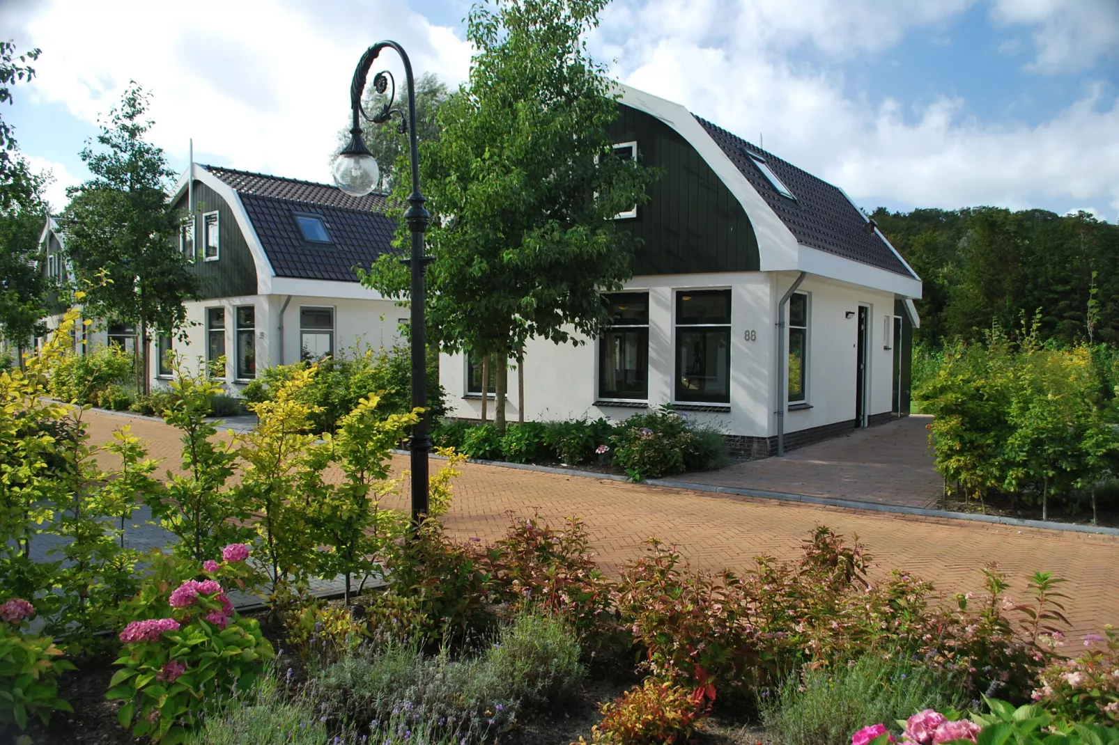 Resort Koningshof 4-Exterior summer