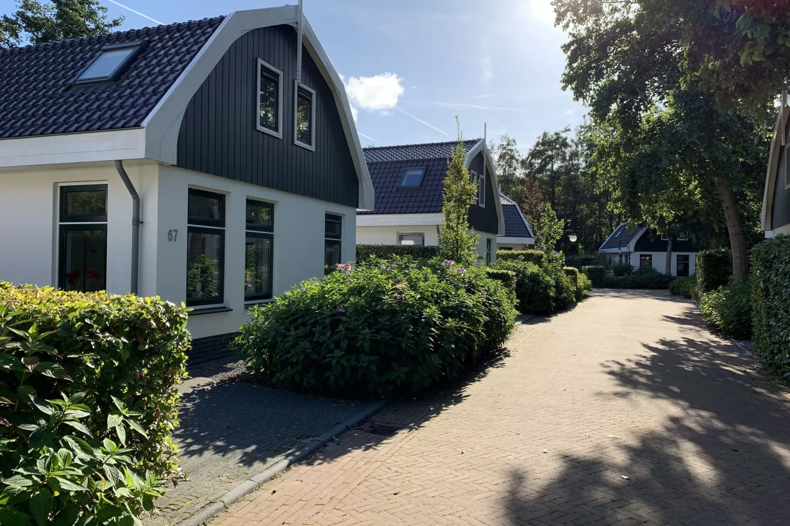 Resort Koningshof 4-Exterior summer