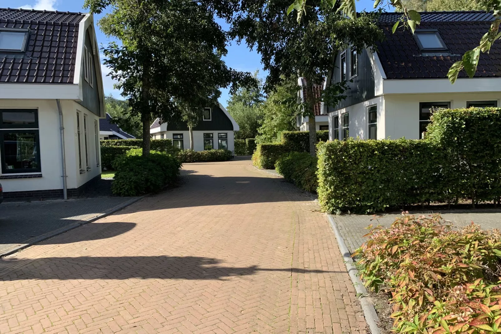 Resort Koningshof 4-Exterior summer