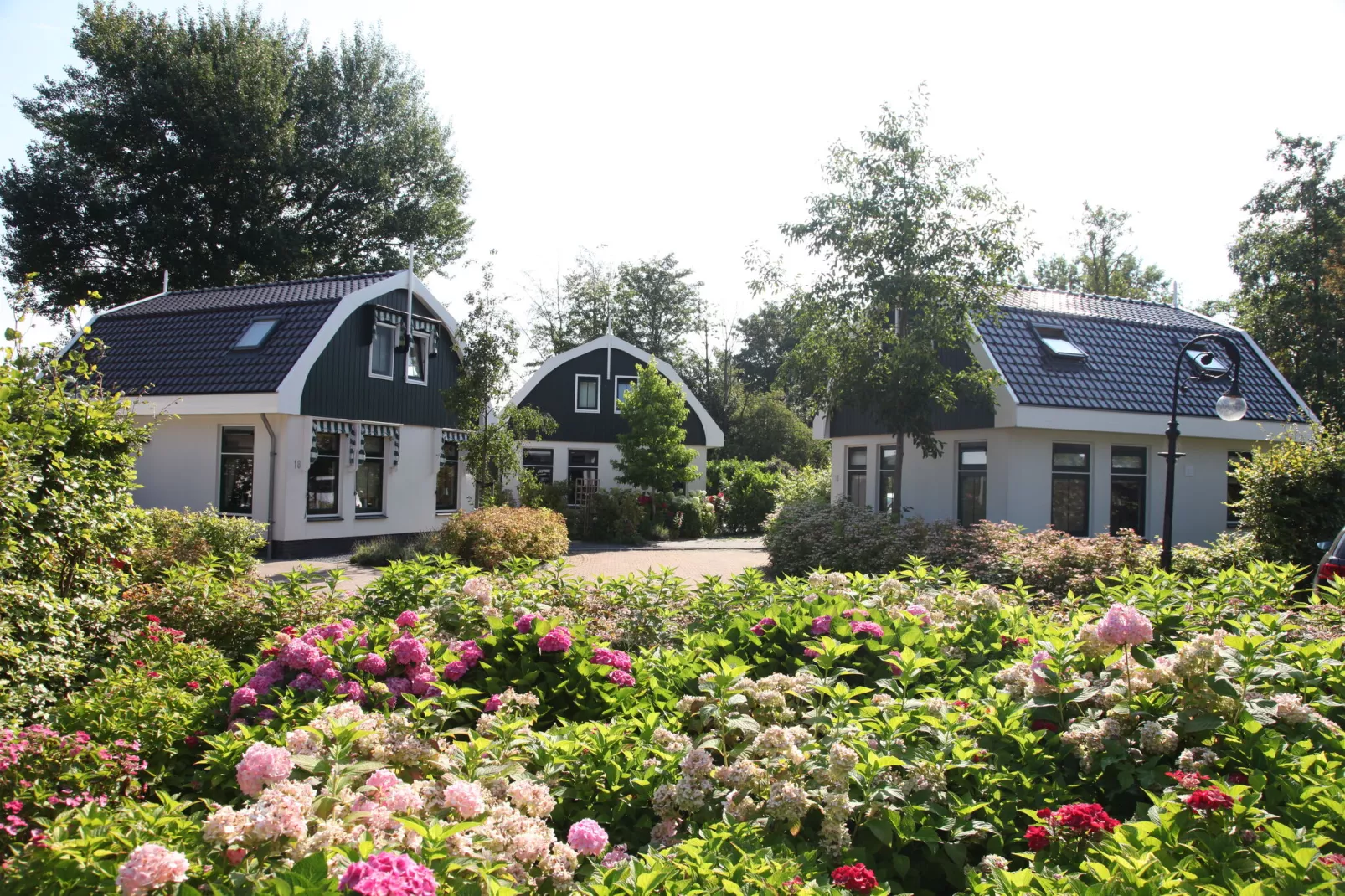 Resort Koningshof 4-Exterior summer