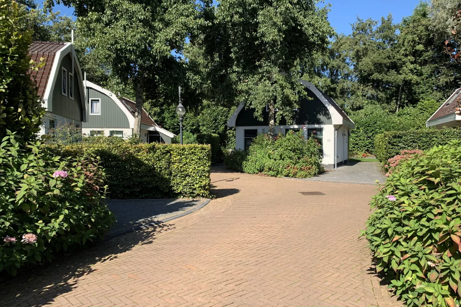Resort Koningshof 4-Exterior summer