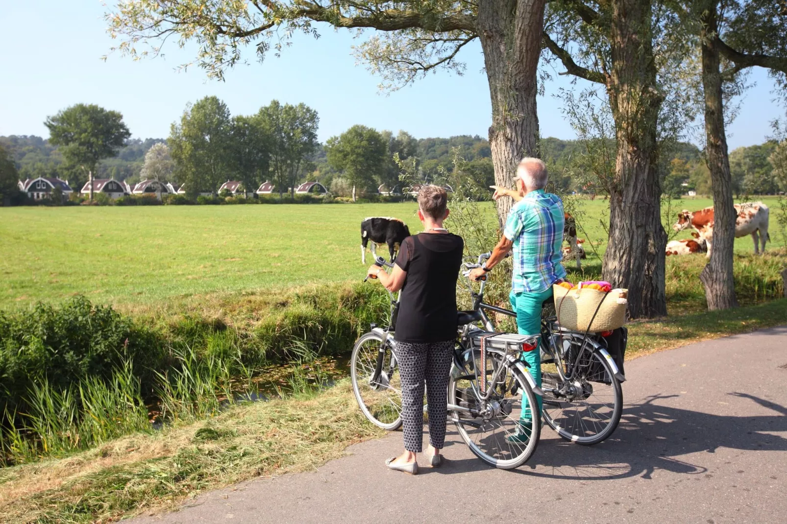 Resort Koningshof 4-Areas summer 1km