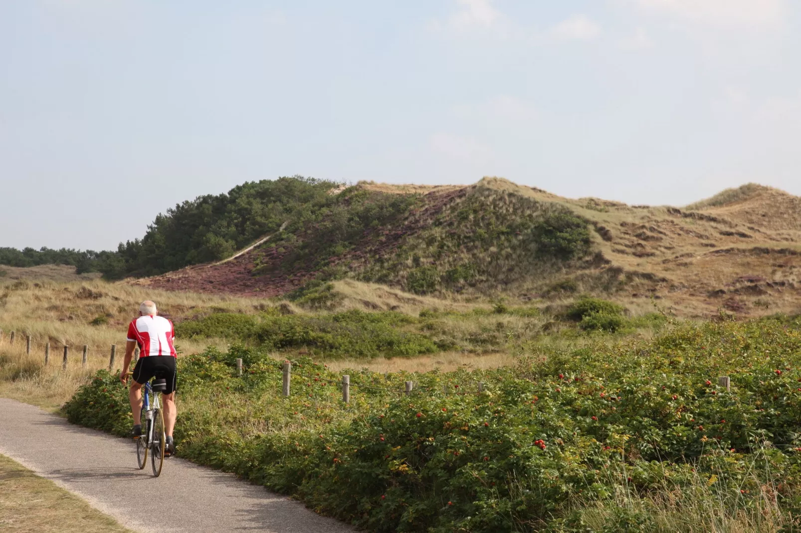 Resort Koningshof 4-Areas summer 5km