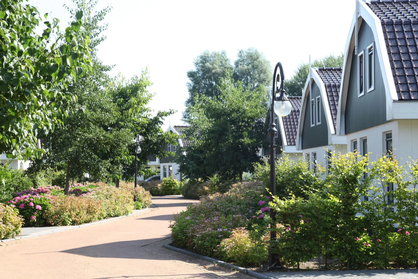 Resort Koningshof 5-Exterior summer