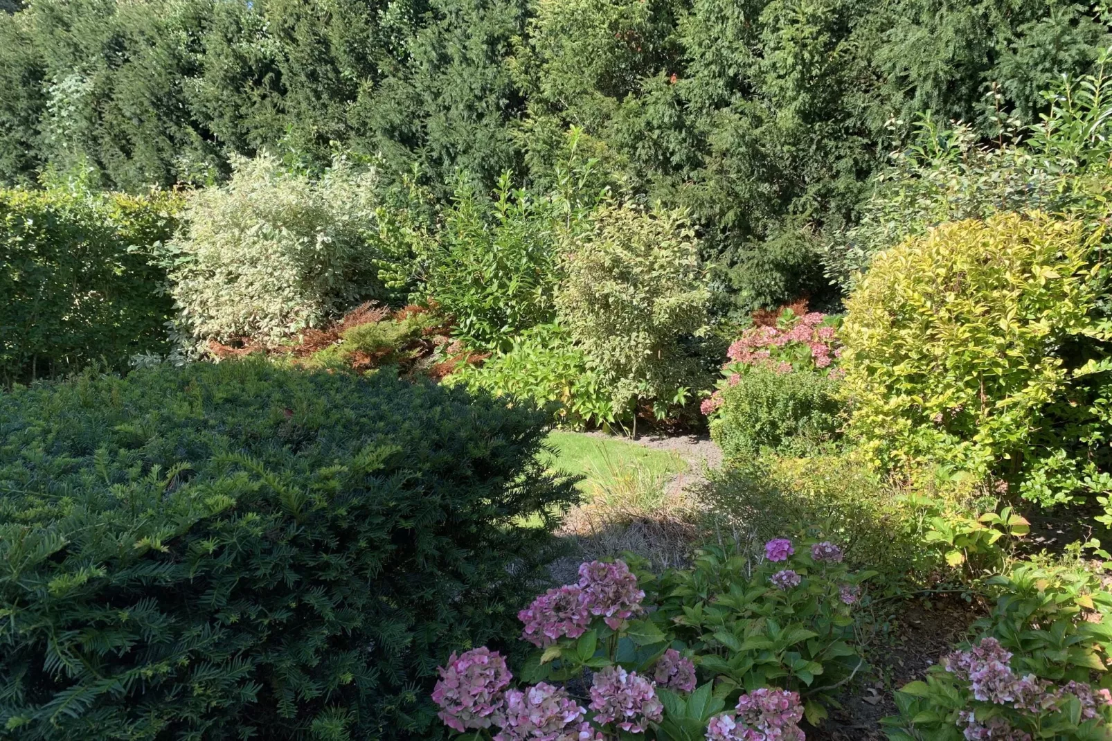 Resort Koningshof 5-Gardens summer