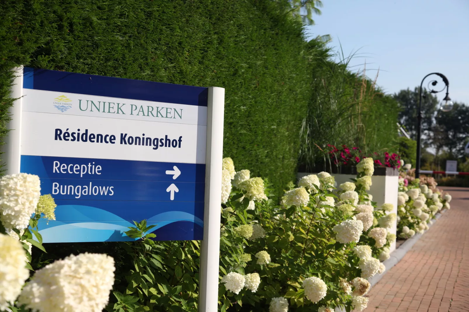 Resort Koningshof 6-Park facilities