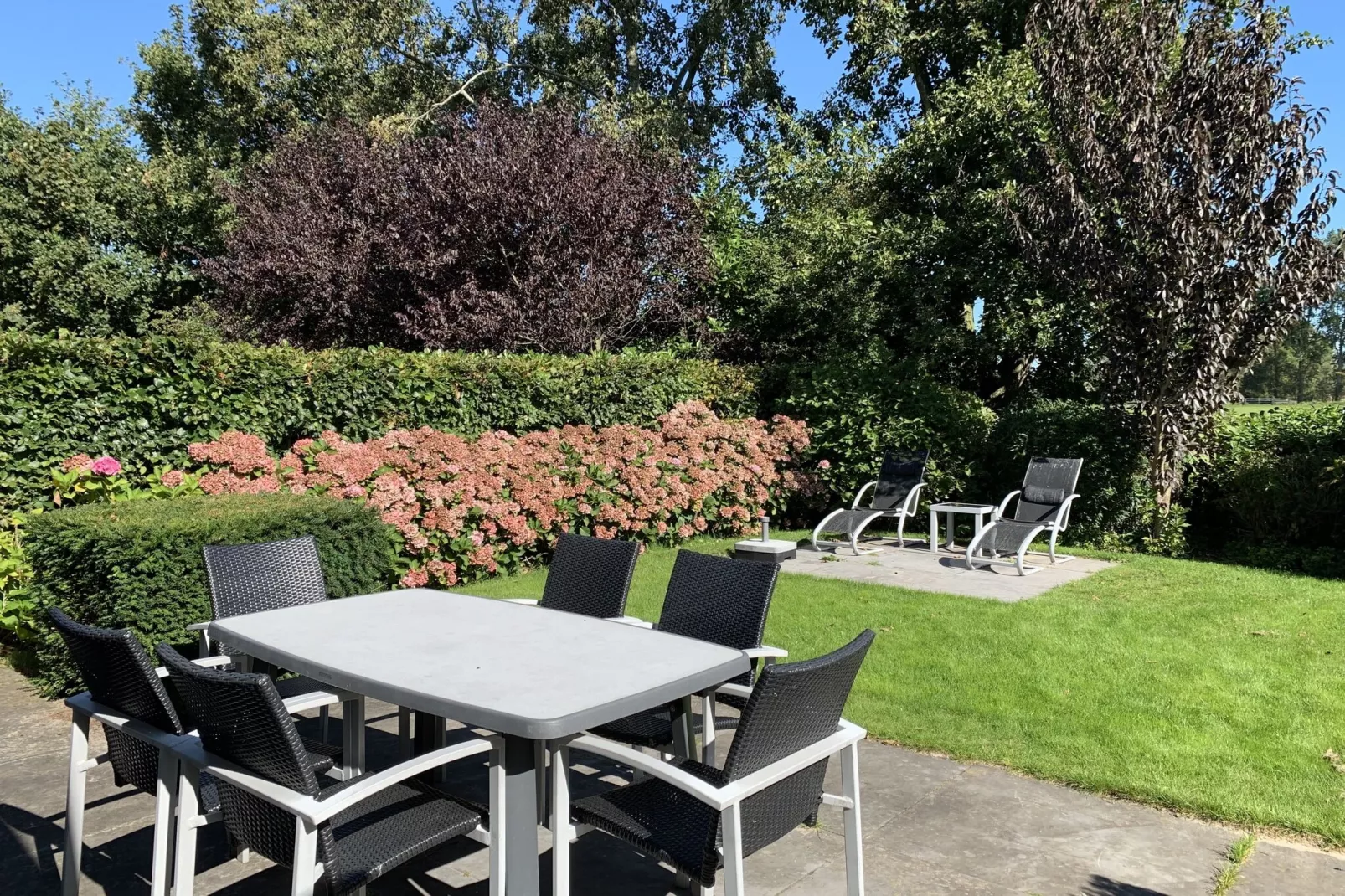 Resort Koningshof 7-Gardens summer