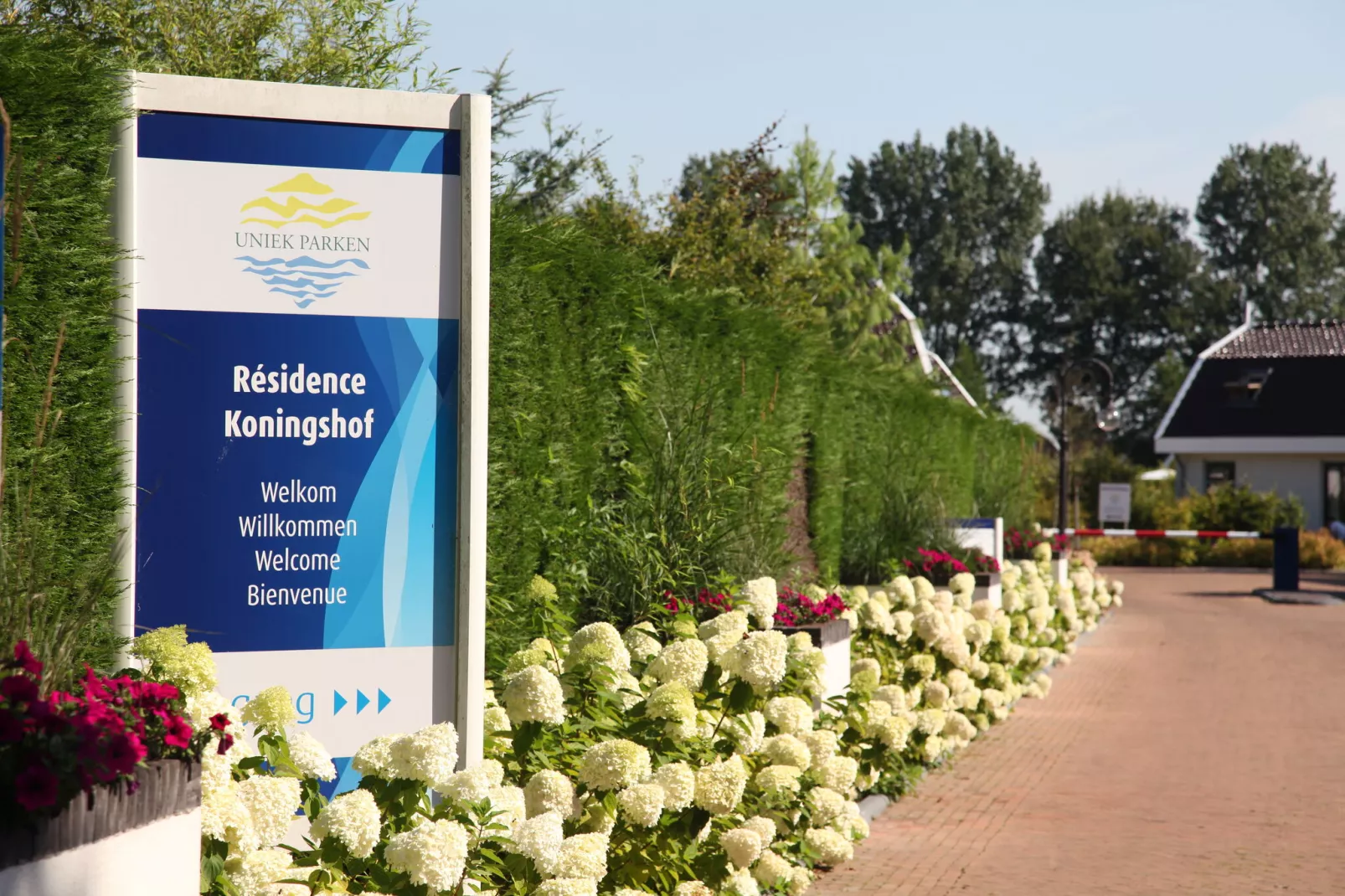 Resort Koningshof 7-Park facilities