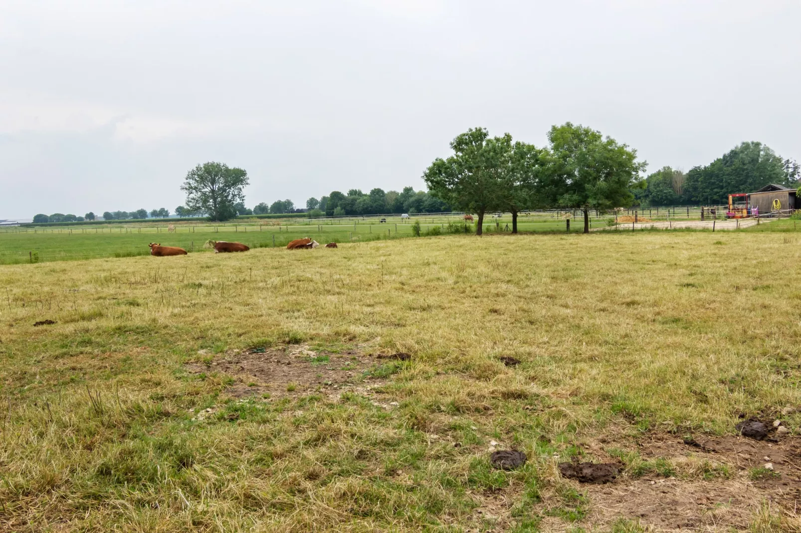 Het Café-Areas summer 1km