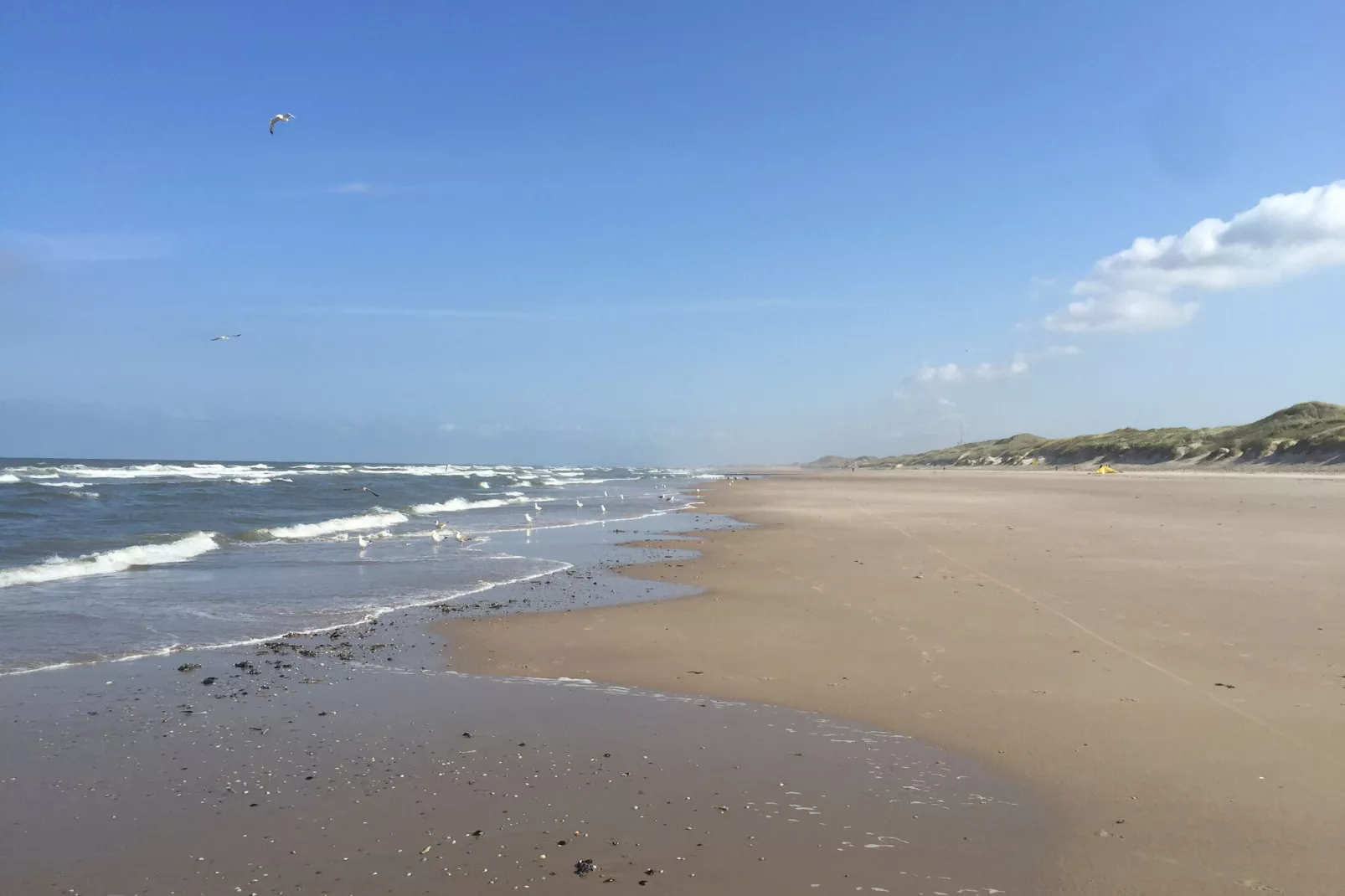 Kalae-Gebiete Sommer 20 km