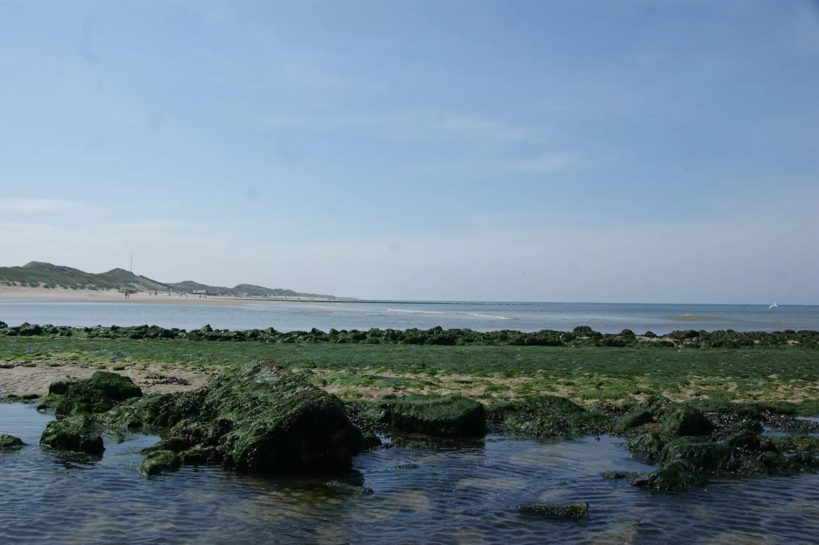 Kalae-Gebiete Sommer 20 km