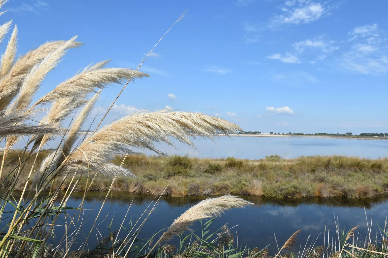 Villa Camargue-Atmosphere