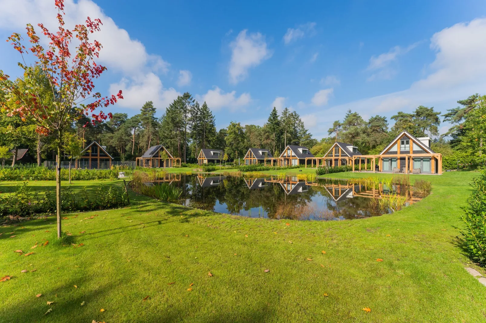 Hart van Ruighenrode - H552-Areas summer 1km