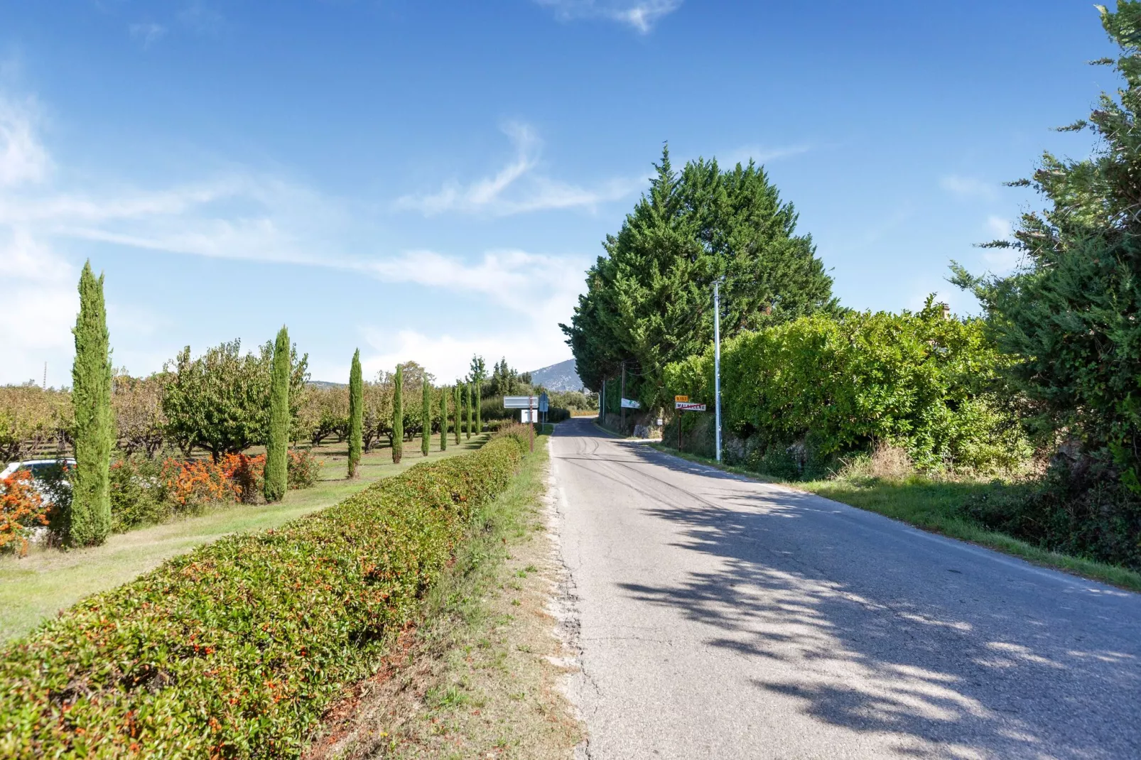 Les Cyclistes-Gebiete Sommer 1 km