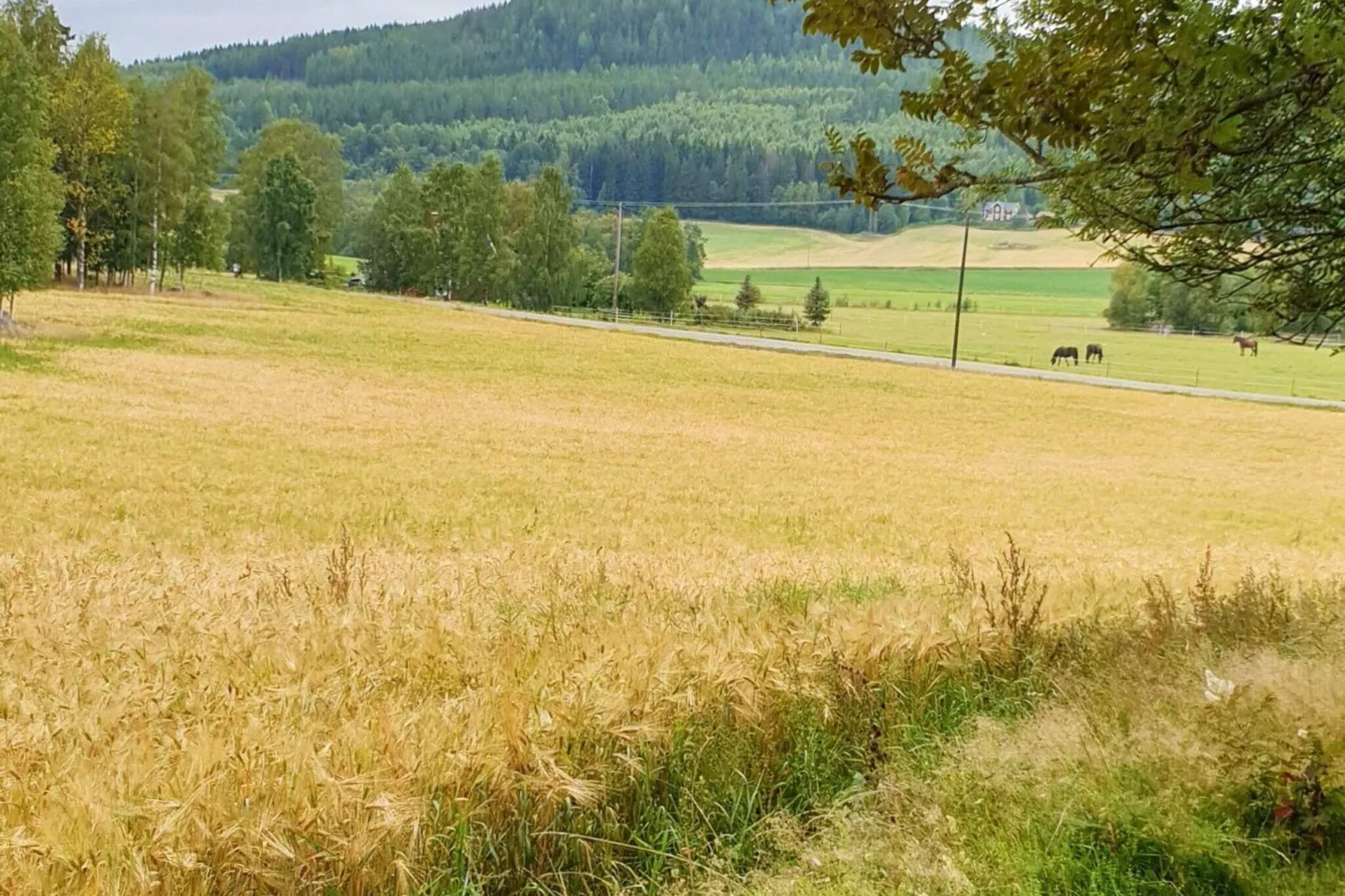 4 Personen Ferienhaus in JÄRVSÖ-By Traum-Innen