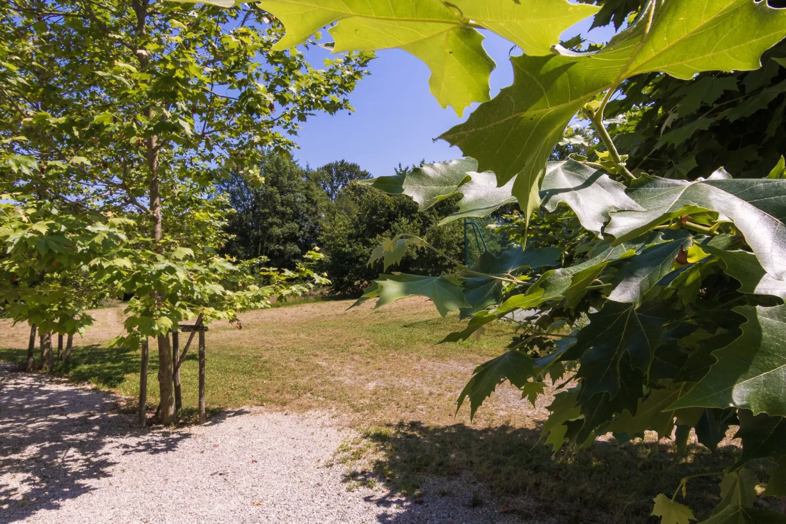 La Petite Maison-Aussicht Sommer