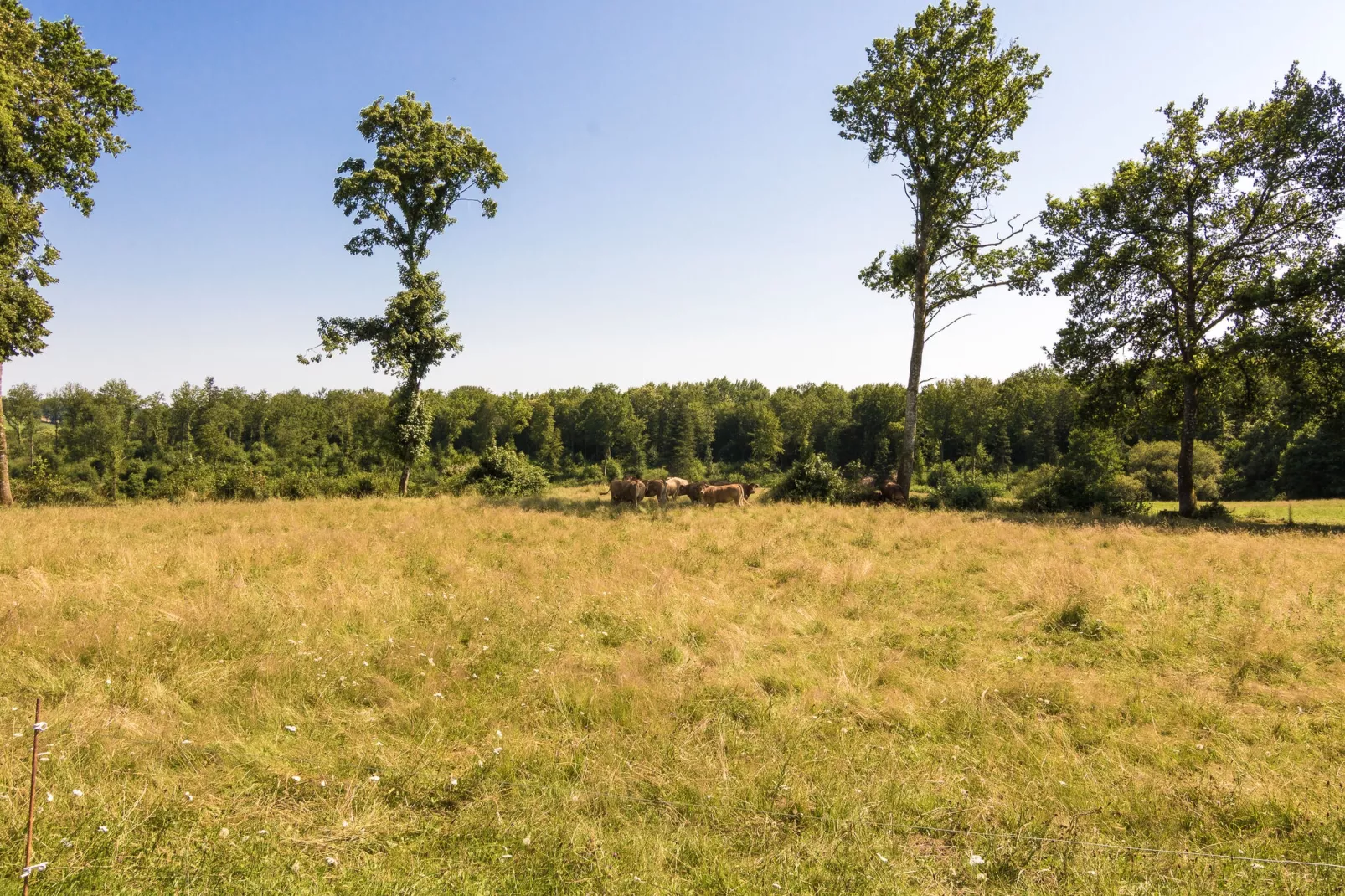 Le Grand Gite du Chateau-Areas summer 5km